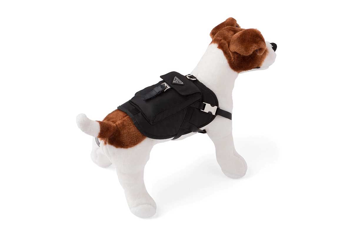 prada dog collar and leash